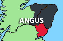 Shop locally in the Angus